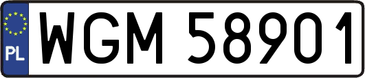 WGM58901