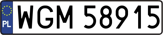WGM58915