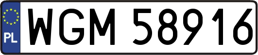 WGM58916