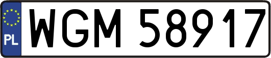 WGM58917