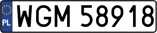 WGM58918