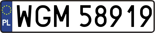 WGM58919
