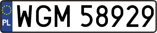 WGM58929