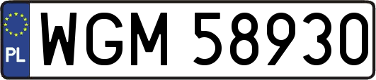 WGM58930