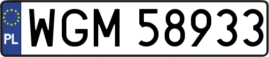 WGM58933