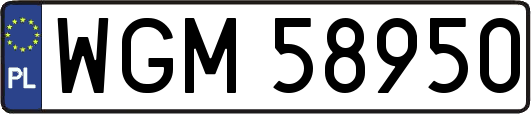 WGM58950