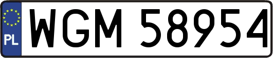 WGM58954