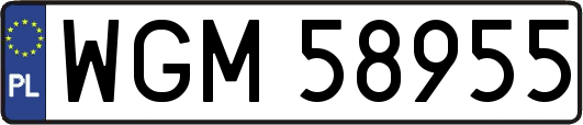 WGM58955