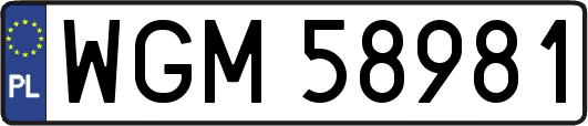 WGM58981