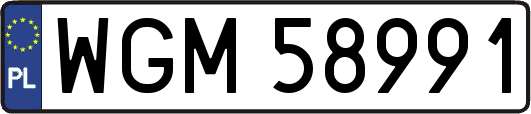 WGM58991