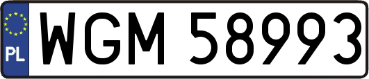 WGM58993
