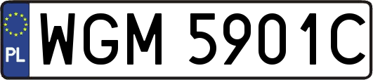 WGM5901C