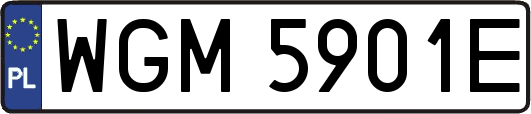WGM5901E