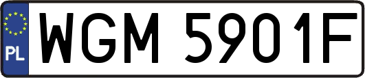 WGM5901F