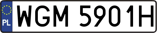 WGM5901H