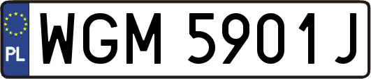 WGM5901J