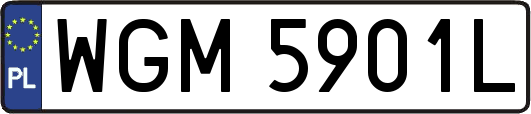 WGM5901L