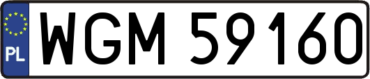 WGM59160