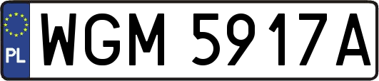 WGM5917A