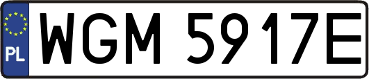 WGM5917E