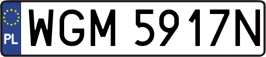 WGM5917N