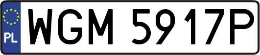 WGM5917P