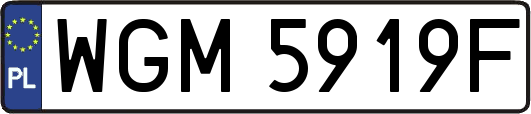 WGM5919F