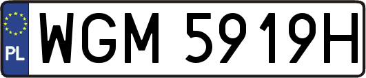 WGM5919H