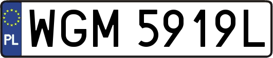 WGM5919L
