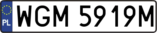 WGM5919M