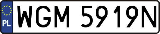 WGM5919N