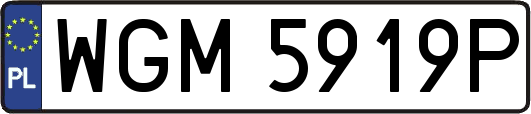 WGM5919P