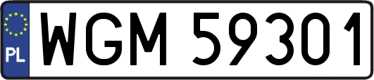 WGM59301