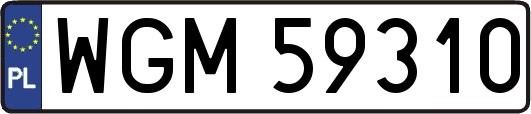 WGM59310