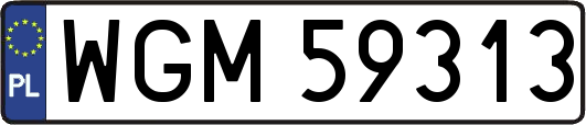 WGM59313