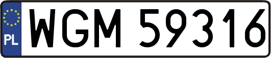 WGM59316
