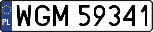 WGM59341