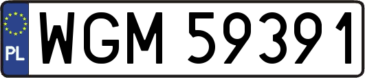 WGM59391