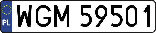 WGM59501