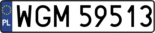 WGM59513