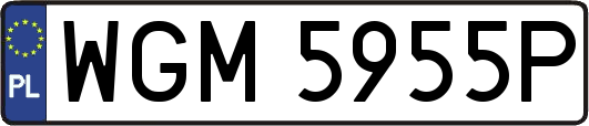 WGM5955P