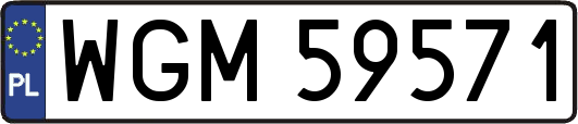 WGM59571