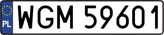 WGM59601