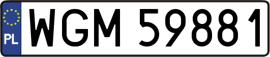 WGM59881