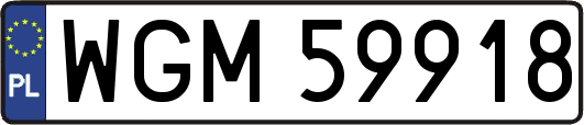 WGM59918
