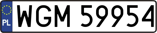 WGM59954