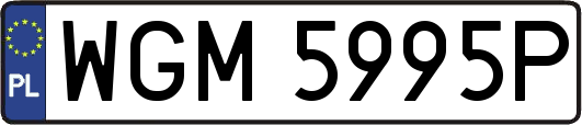 WGM5995P