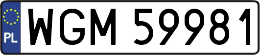 WGM59981