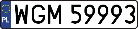 WGM59993
