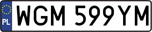 WGM599YM